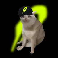 CASHCAT